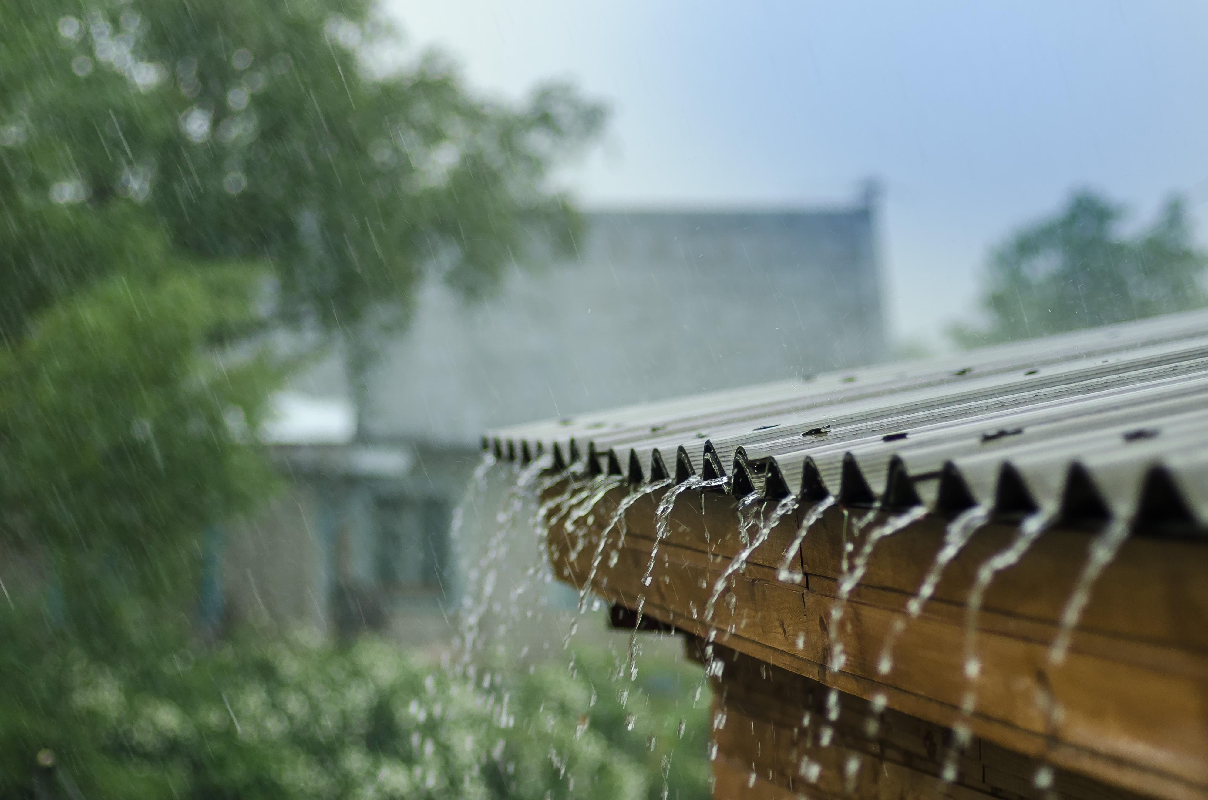 La lluvia cae intensamente sobre un techo de metal corrugado, con agua fluyendo por los bordes. Un fondo borroso muestra árboles y una casa bajo un cielo gris.