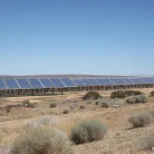 A large array of solar panels in a desert landscape with sparse vegetation under a clear blue sky.