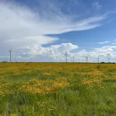 BG Horizontal turbines and flowers.png