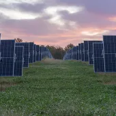 Rows of solar panels in a field under a colorful sunset sky.