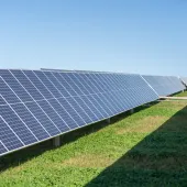 Rows of solar panels in a field under a clear blue sky, generating renewable energy.