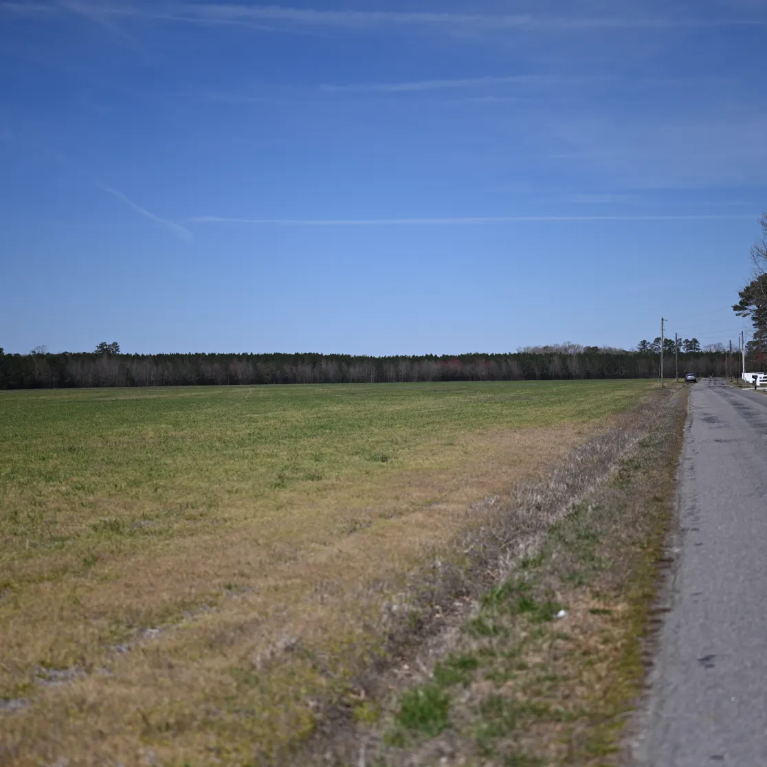 A rural landscape with a paved road on the right and an open grassy field on the left. The road extends into the distance, bordered by trees and power lines. The sky is clear and blue, with a few wispy clouds.