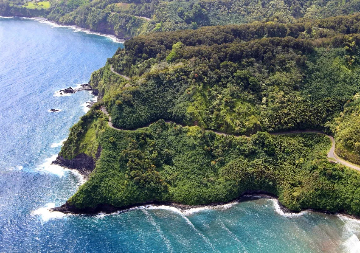 Aerial view of a lush green coastline with a winding road along the edge, bordered by the blue ocean waves.