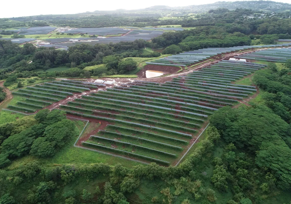 Aerial view of a large solar farm with rows of solar panels surrounded by lush green trees and vegetation. The panels are arranged in neat, parallel lines across the landscape. A small pond is visible near the center of the image.