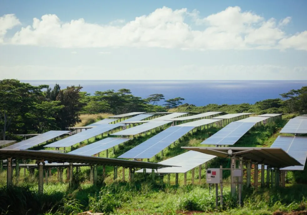 Rows of solar panels in a green field with trees and the ocean in the background under a partly cloudy sky.