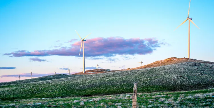 A landscape with several wind turbines on rolling hills under a clear sky with a few pink clouds. The foreground shows grassy terrain with a wooden fence post.