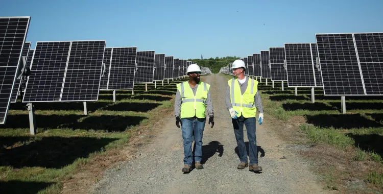 Two workers wearing safety vests and helmets walk between rows of solar panels under a clear blue sky.