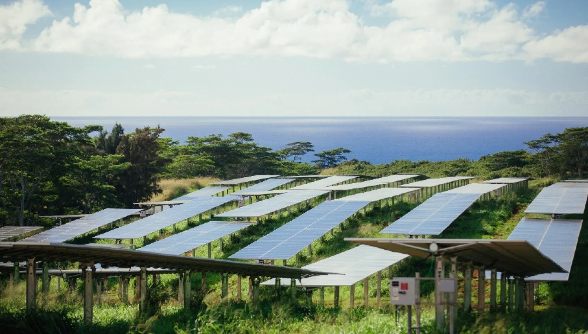 A solar farm with rows of solar panels on a grassy field, surrounded by trees. The ocean is visible in the background under a partly cloudy sky.