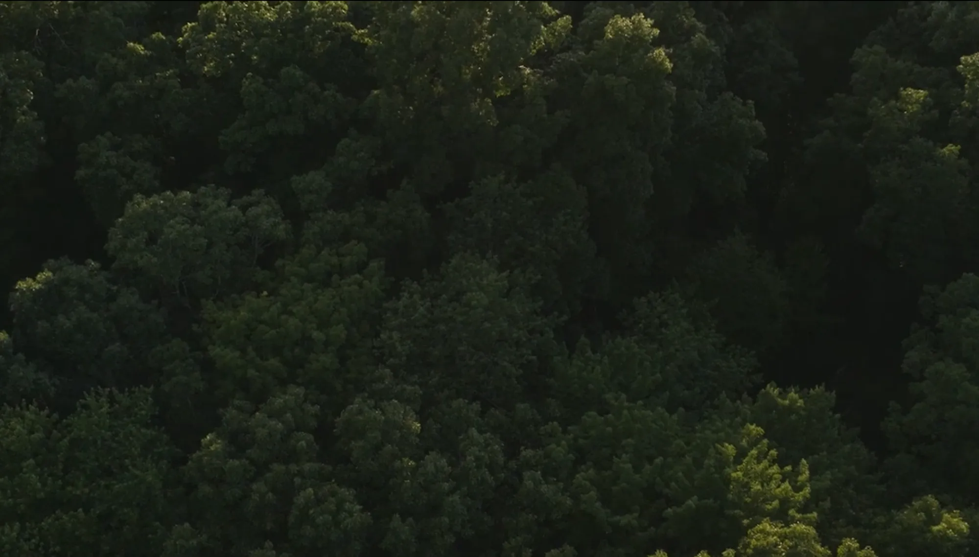 Screenshot from 2025-04-22 13-19-3