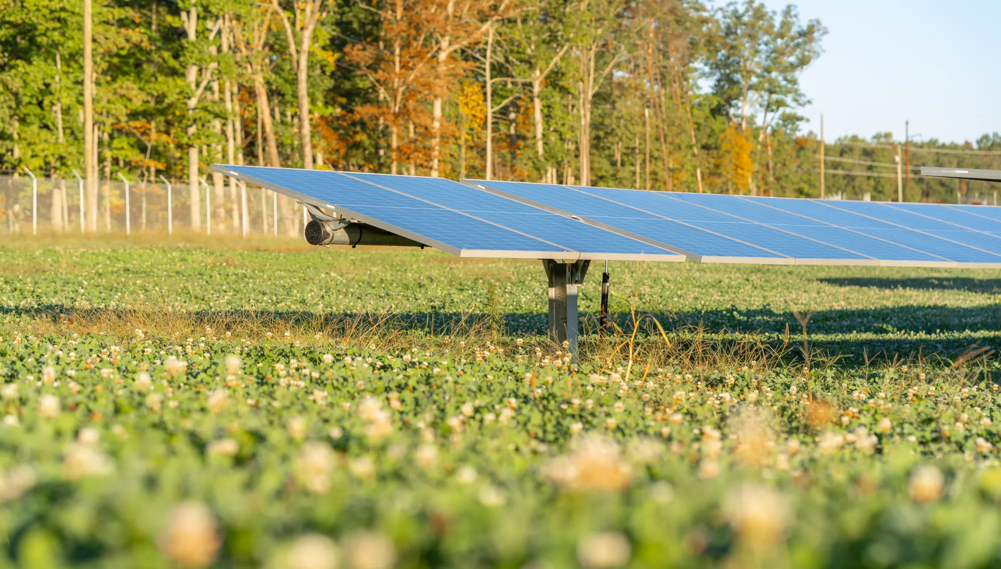 DSC09409-HDR (1).jpg