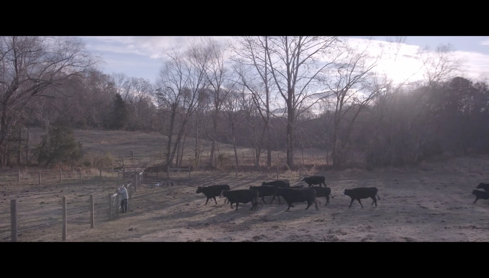 Vimeo thumbnail