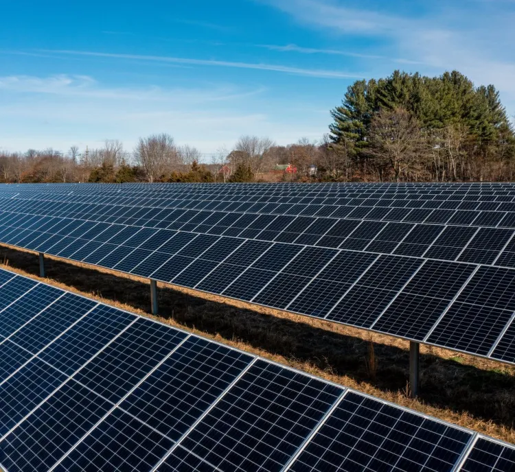 A large field of solar panels under a clear blue sky with trees in the background.