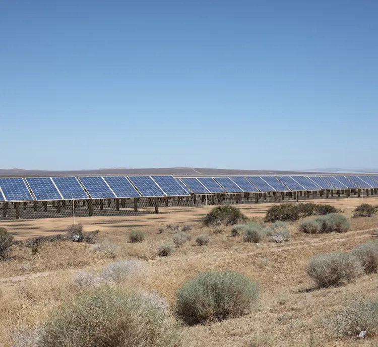 A large array of solar panels in a desert landscape with sparse vegetation under a clear blue sky.