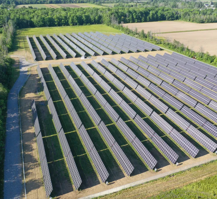 Aerial view of a large solar farm with multiple rows of solar panels set in a grassy field. The panels are aligned in parallel rows, surrounded by green trees and open fields in the background.