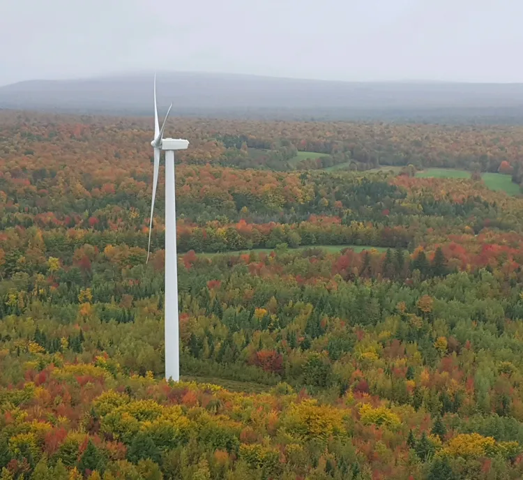 Aerial view of a wind turbine surrounded by a forest with autumn foliage, displaying vibrant shades of green, orange, and red under a cloudy sky.
