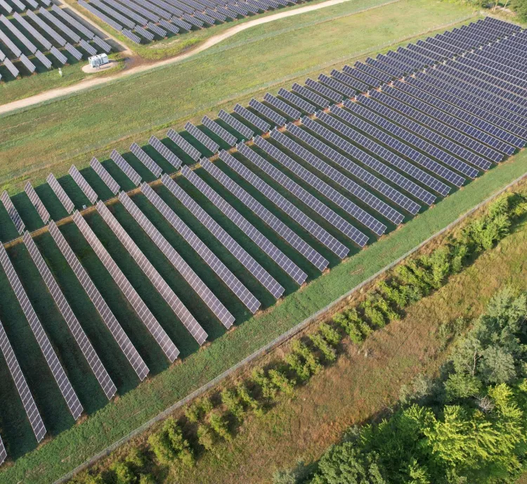 Aerial view of a large solar farm with rows of solar panels on a grassy field, surrounded by trees.