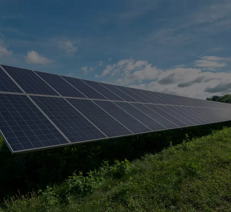 A large array of solar panels in a grassy field under a blue sky with scattered clouds.