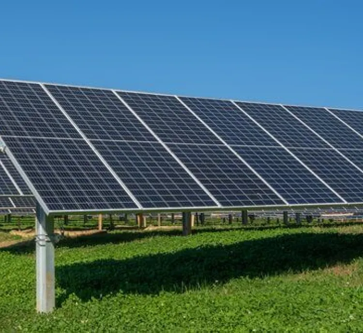 Rows of solar panels in a green field under a clear blue sky.