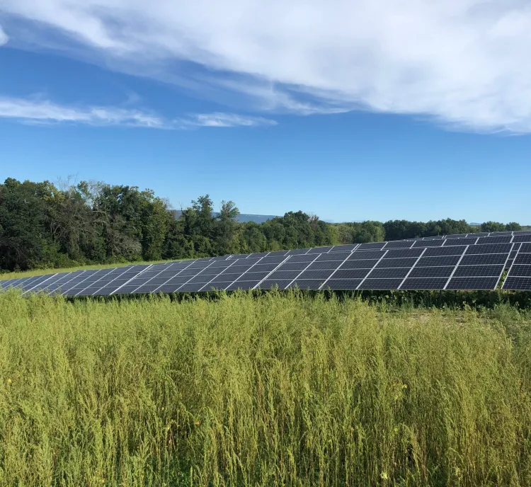 A field of solar panels surrounded by tall grass under a blue sky with scattered clouds, bordered by a line of trees in the background.