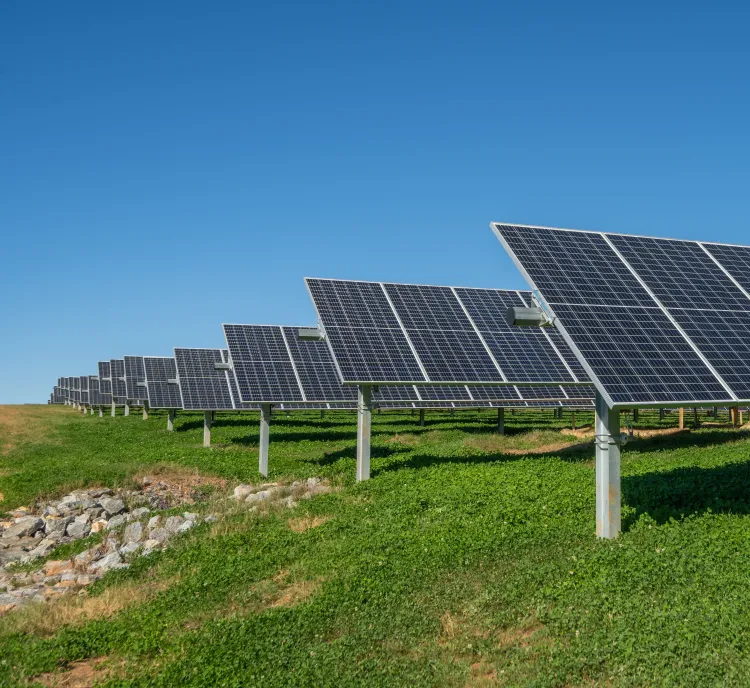Rows of solar panels installed on a grassy field under a clear blue sky.