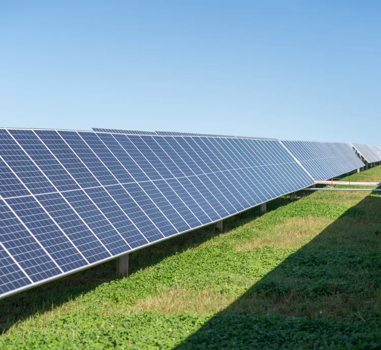 Rows of solar panels in a field under a clear blue sky, generating renewable energy.