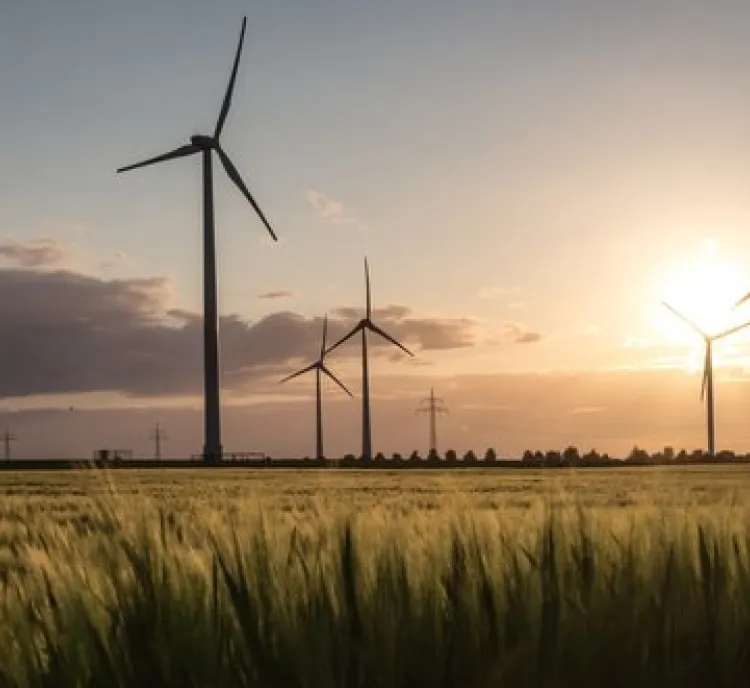 Wind turbines in a field at sunset, with a golden sky and clouds in the background.