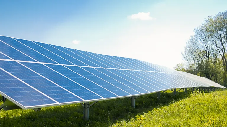 A row of solar panels in a green field under a clear blue sky.