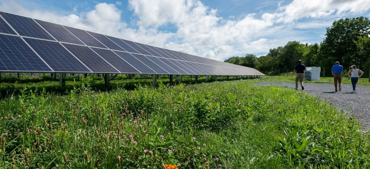 A row of solar panels in a grassy field under a partly cloudy sky. Three people walk along a gravel path beside the panels.