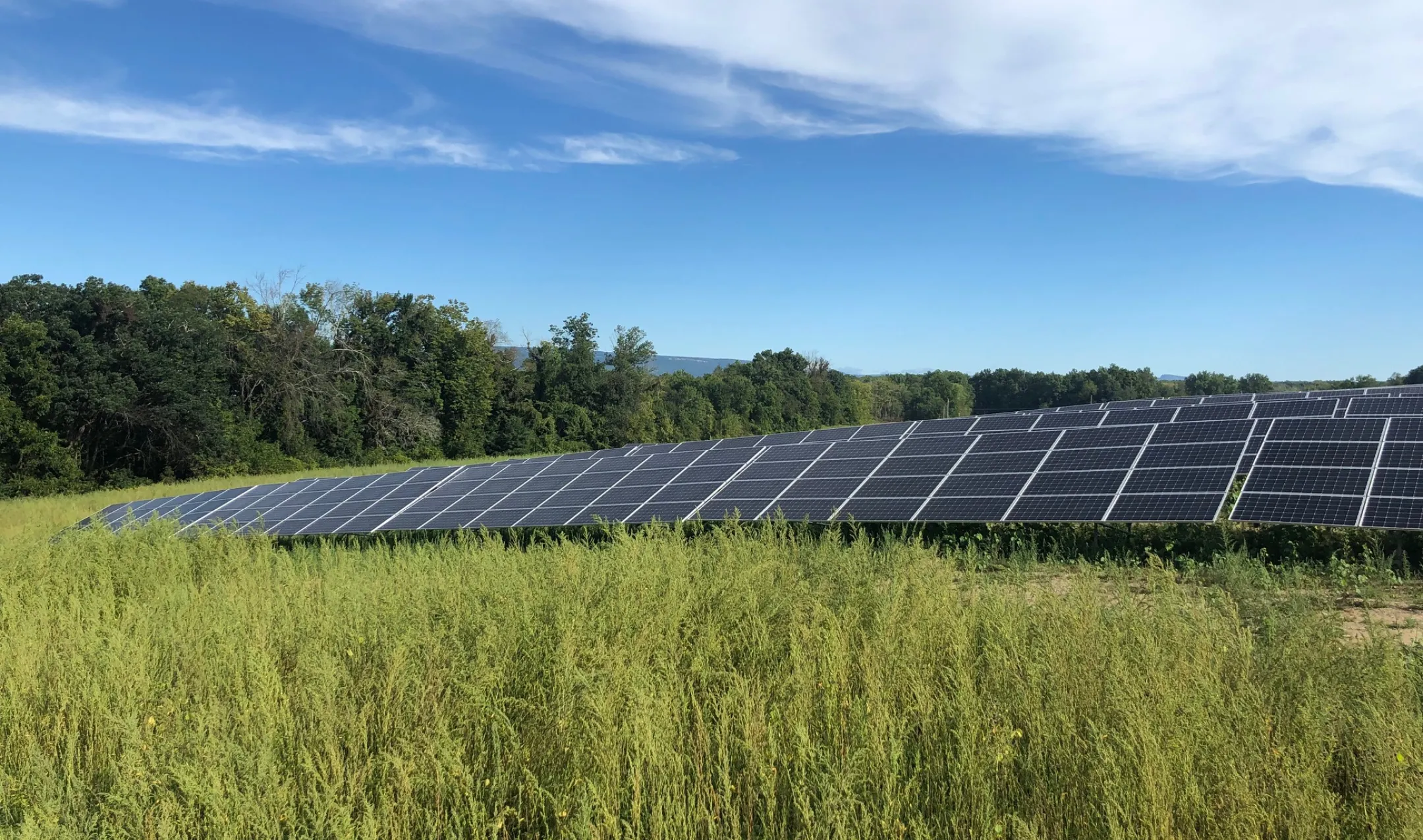 Rows of solar panels in a grassy field with trees in the background under a blue sky with scattered clouds.