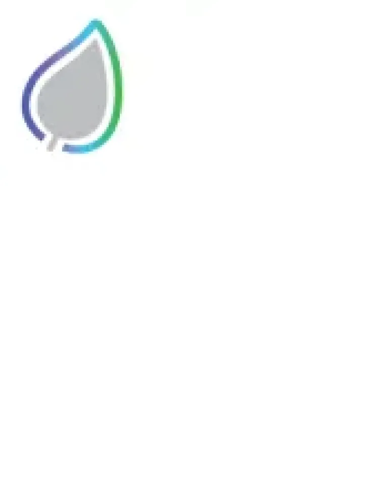 Simple leaf icon with a gray center and a gradient outline in blue, purple, and green, positioned in the top left corner on a white background.