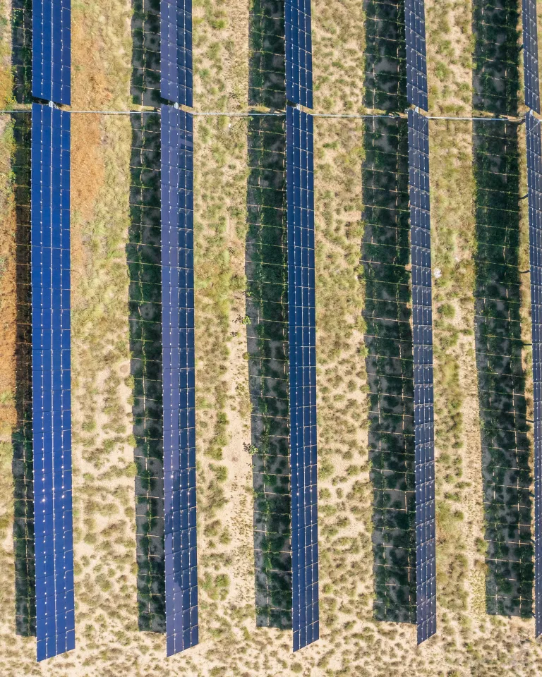 Aerial view of a solar farm with multiple rows of solar panels aligned in parallel over a grassy field.