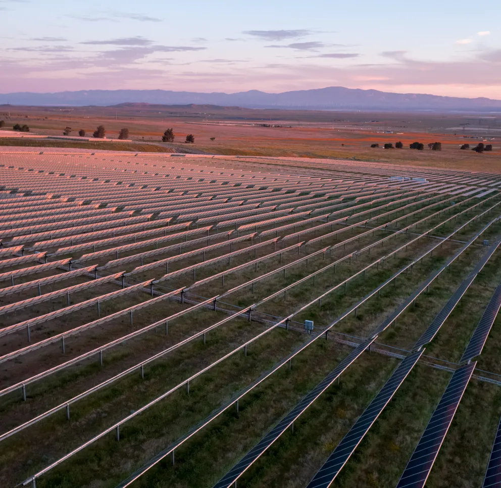 Wide view of a large solar farm with rows of solar panels stretching across a grassy field at sunset, with distant mountains and a colorful sky in the background.