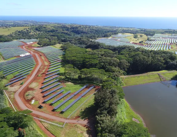 Aerial view of a large solar farm situated on a lush green landscape in Hawaiiby the ocean. Rows of solar panels are aligned along red dirt paths, surrounded by dense trees and open fields. A small pond is visible in the foreground, reflecting the surrounding greenery.