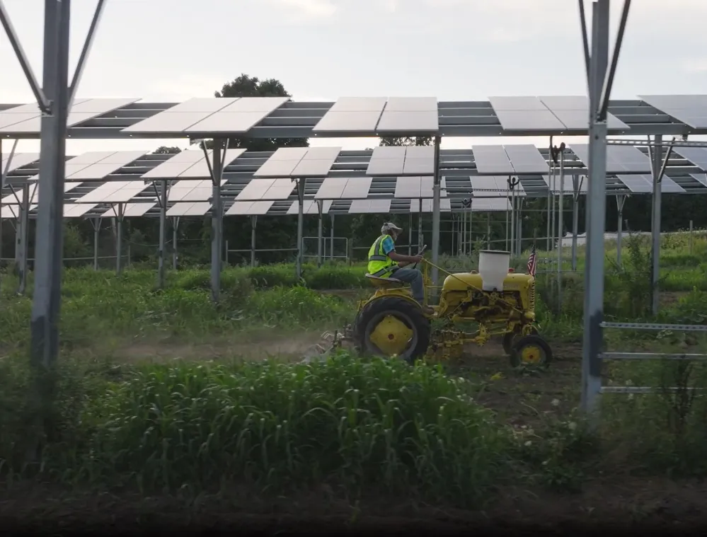 A person driving a yellow tractor under a large array of solar panels in a field with green vegetation.