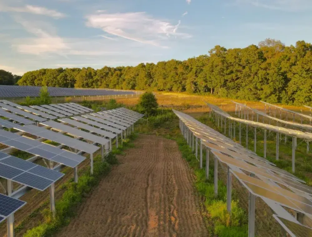 A solar farm with rows of solar panels under a clear sky, bordered by a dense forest.