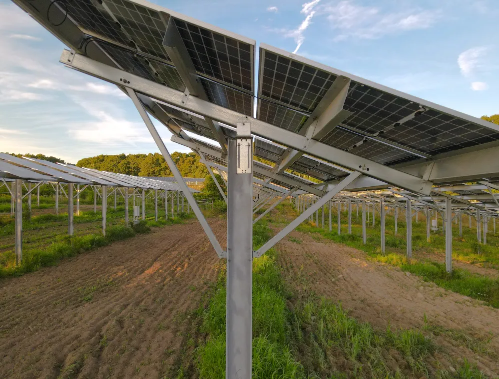 Close-up view of solar panels in a field, mounted on metal frames, with green grass and soil visible beneath. The sky is partly cloudy with trees in the background.