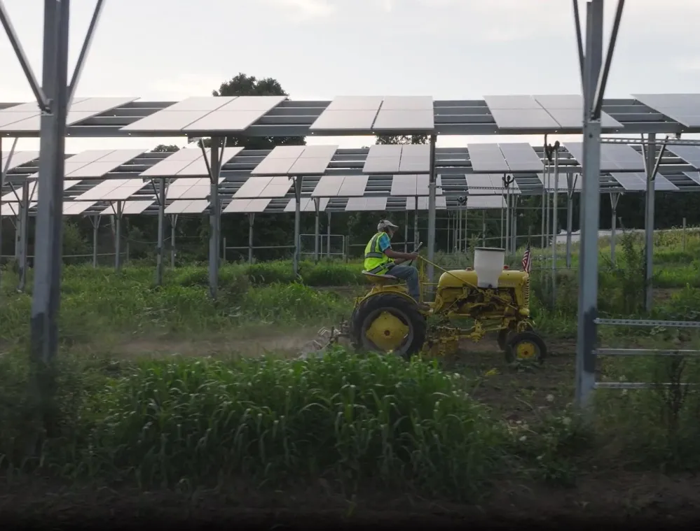 A person drives a yellow tractor under a large array of solar panels in a field. The panels are mounted on metal frames above the ground, and the area is lush with green vegetation.