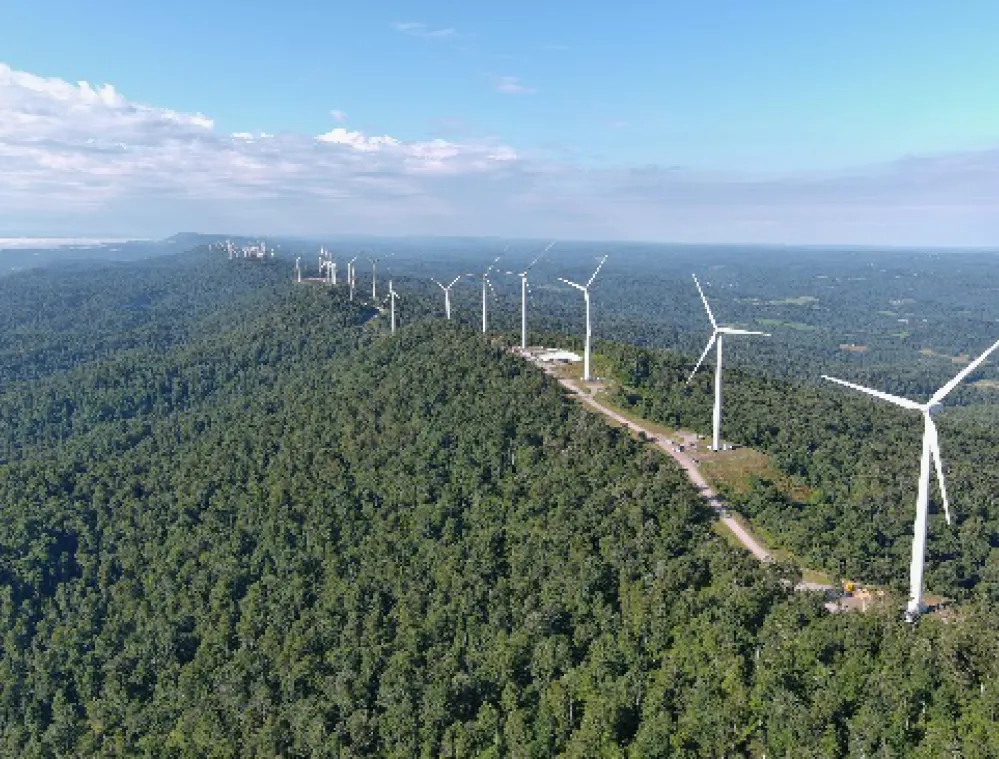Vista aérea de una fila de aerogeneradores en una cresta boscosa, extendiéndose a lo lejos bajo un cielo azul claro.