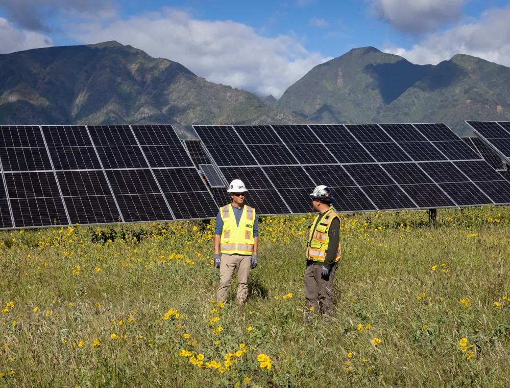 Two workers in safety vests and helmets stand in a field of yellow flowers in front of large solar panels with mountains in the background.