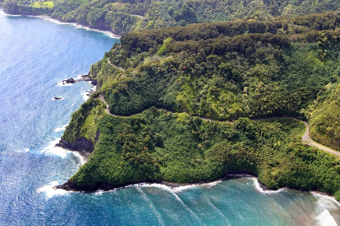 Aerial view of a lush green coastline with a winding road along the edge, bordered by the blue ocean waves.