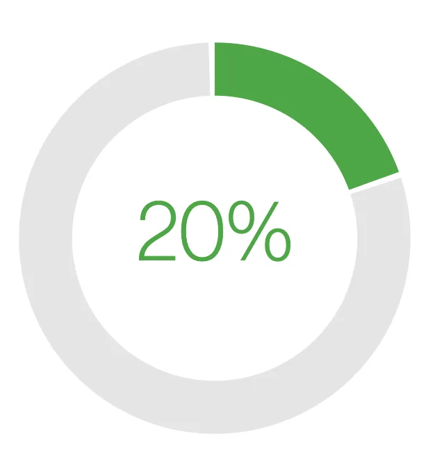 A circular progress chart showing 20 percent completion with a green segment.