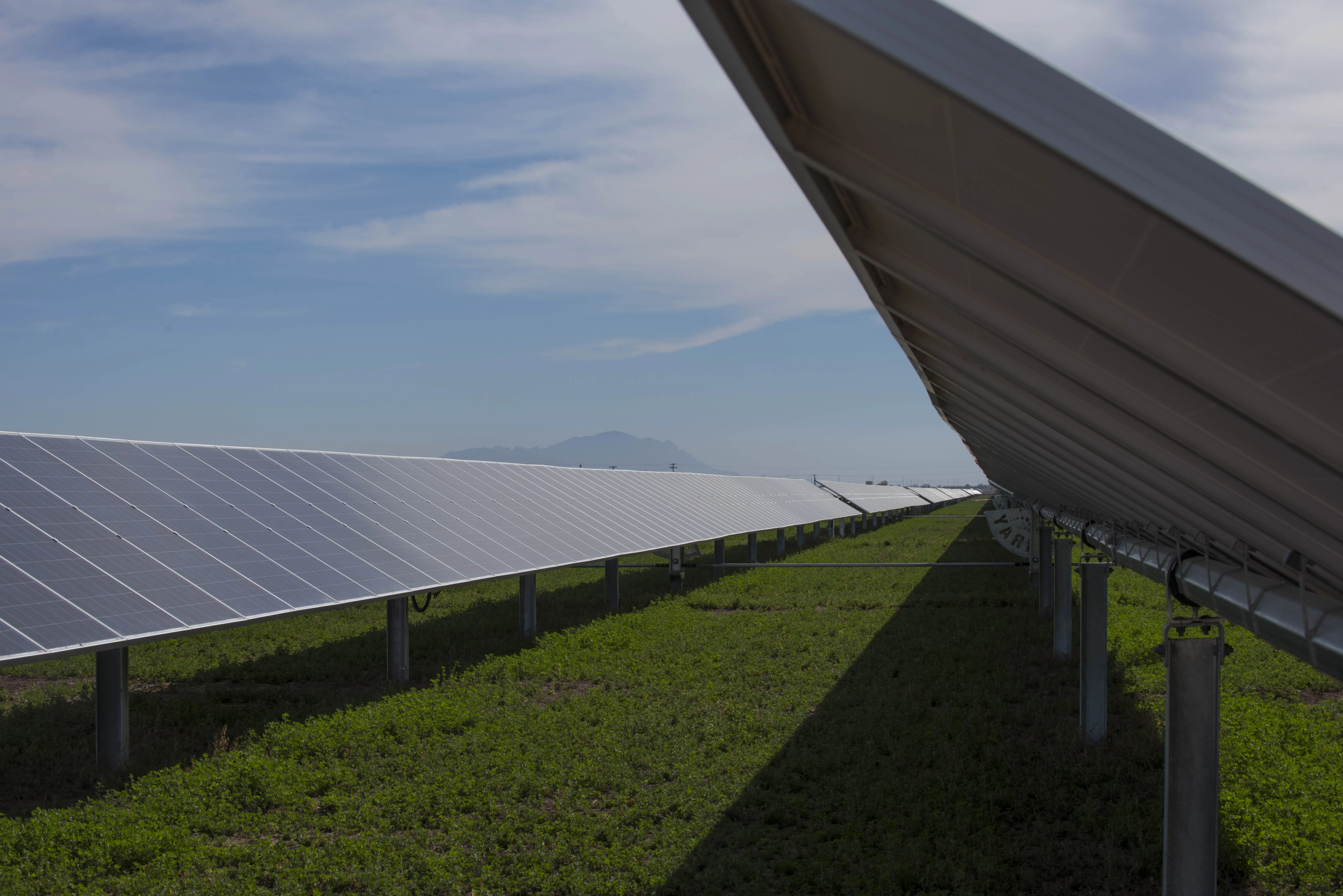 Rows of solar panels on metal stands in a field of green grass under a blue sky with scattered clouds. A mountain range is visible in the distant background.