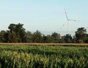 A wind turbine stands tall in a field of corn with trees in the background under a clear blue sky.